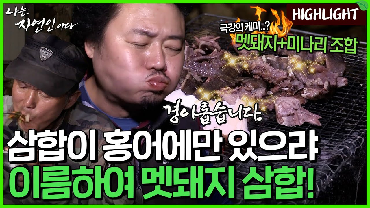 진짜 산의 맛. 한 점도 남김없이 멧돼지 삼합 클라스｜자연인 하이라이트 372회