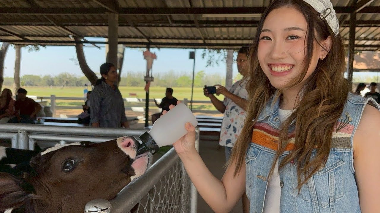 [กะตอยอยาก vlog] Khaoyai Day 4 : ฟาร์มโชคชัย