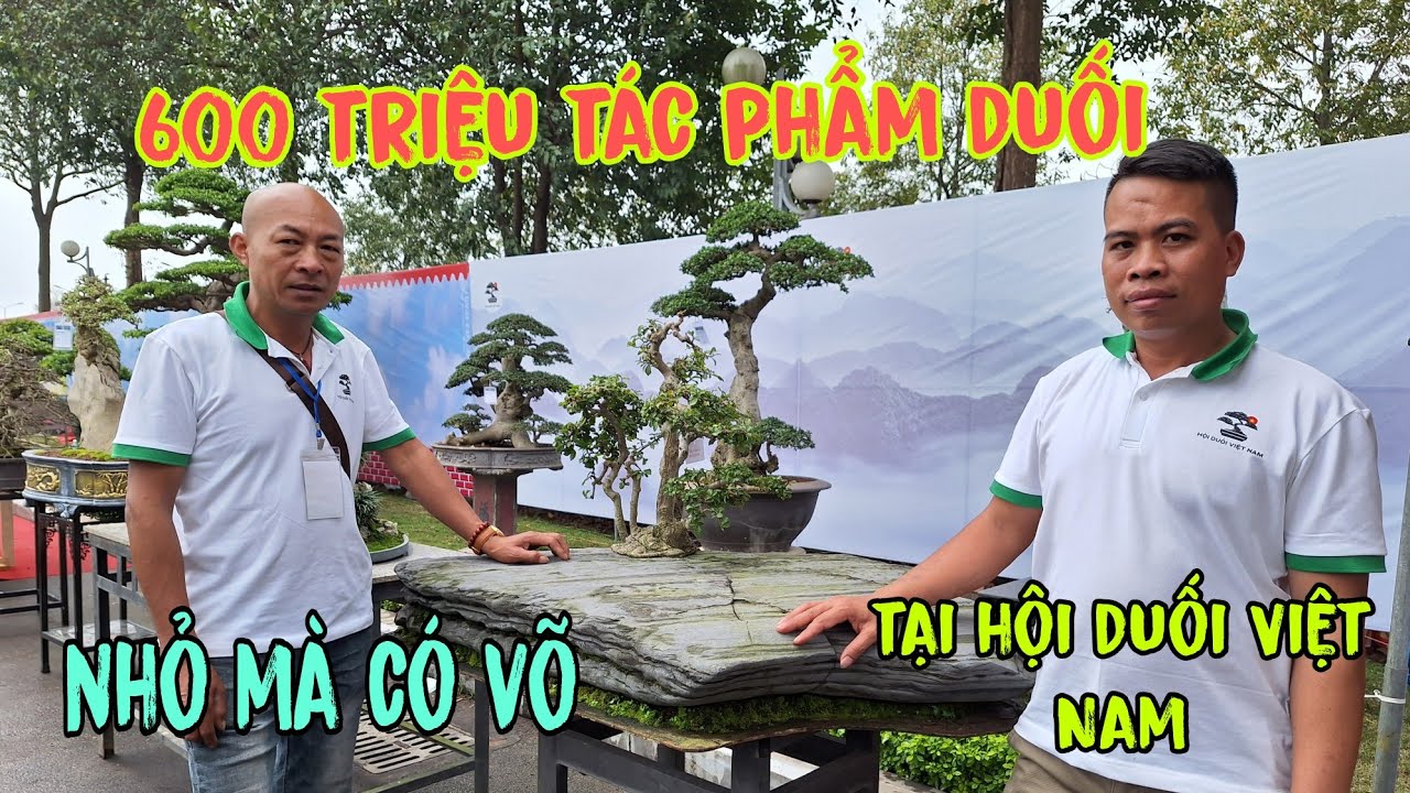 Chủ Nhân đòi 600 Triệu tác phẩm DUỐI - tại trưng bày - HỘI DUỐI VIỆT NAM - triển lãm Bắc Ninh -2024