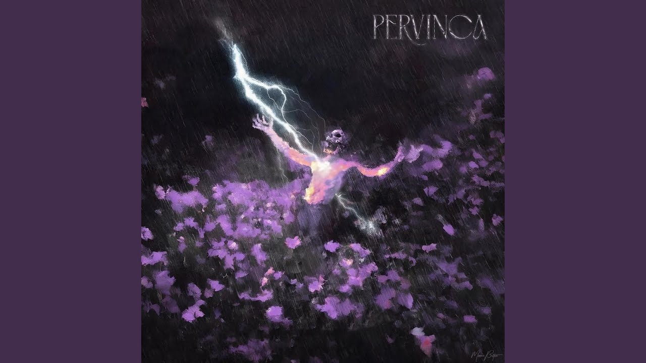 Pervinca