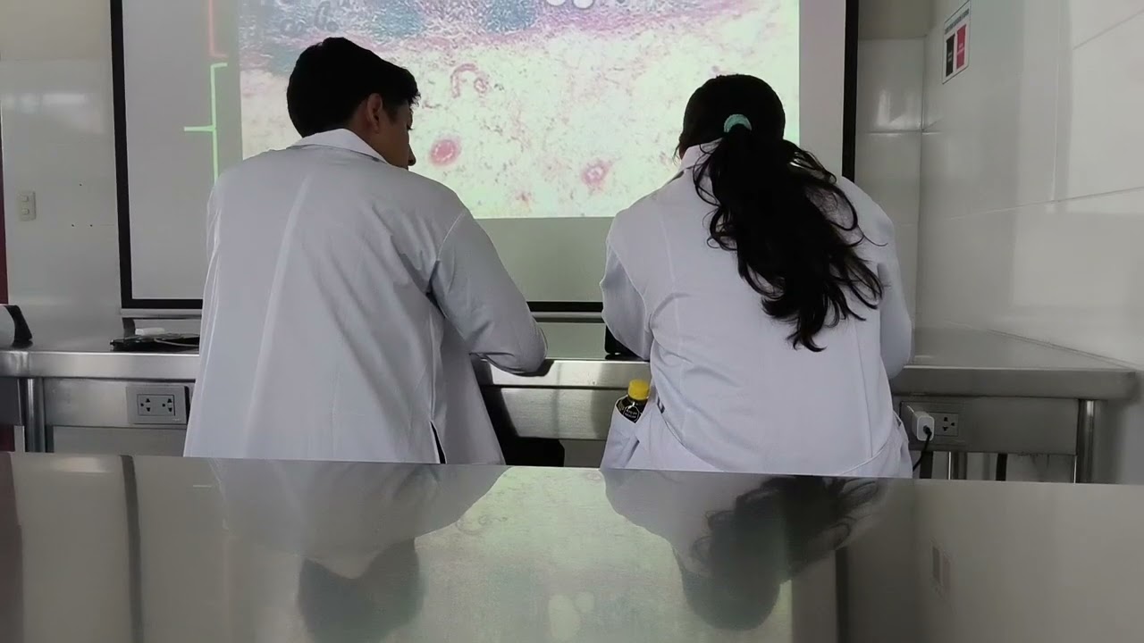 Pato-Lab 4