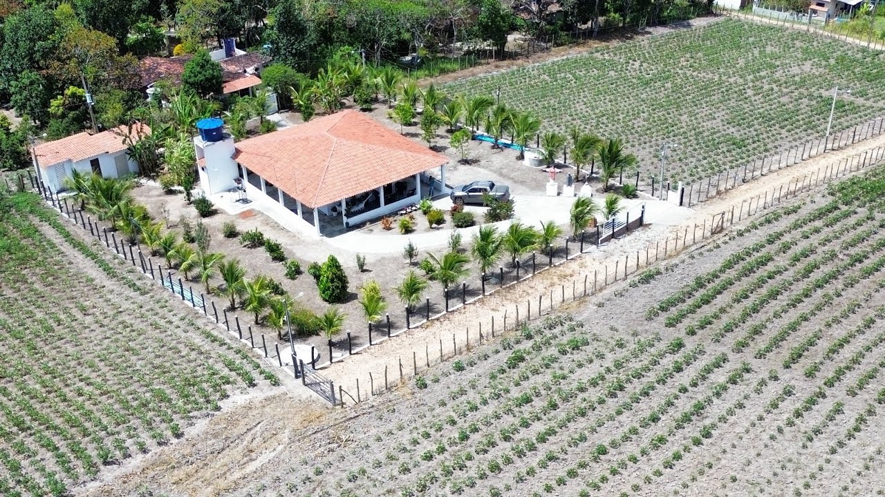 Lotes de chácara na zona rural de Boas novas Pe 20/50 $50 mil cada  entre Caruaru e bezerros 