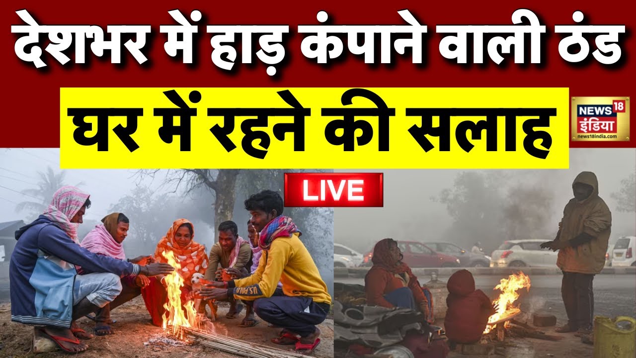 Weather Update Live: Delhi NCR Fog | Winter Cold Wave | Delhi/NCR | IMD Weather Forecast