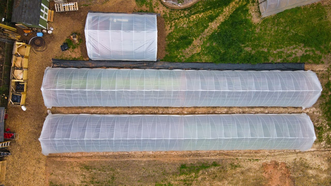 Third Farm's A Charm