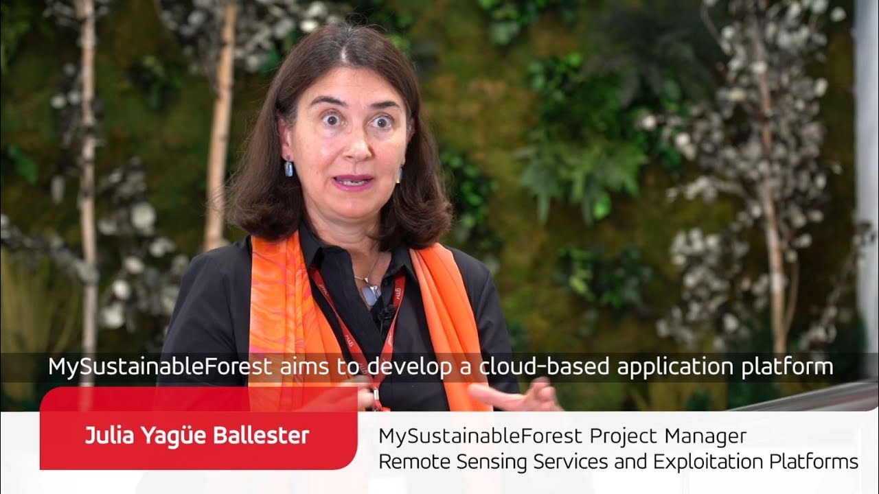 MySustainableForest, a new forestry future