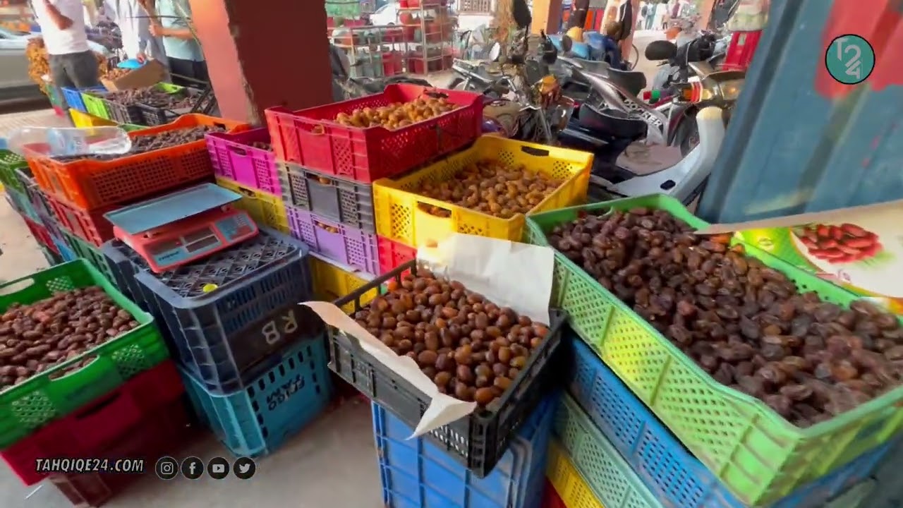 لأول مرة، انغماس في موسم التمور بتغجيجت: رحلة تذوق التراث والطبيعة!