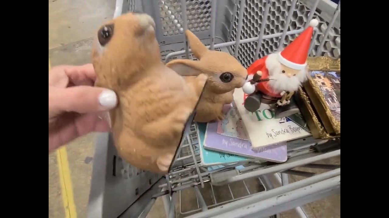 treasure hunting at the Goodwill bins