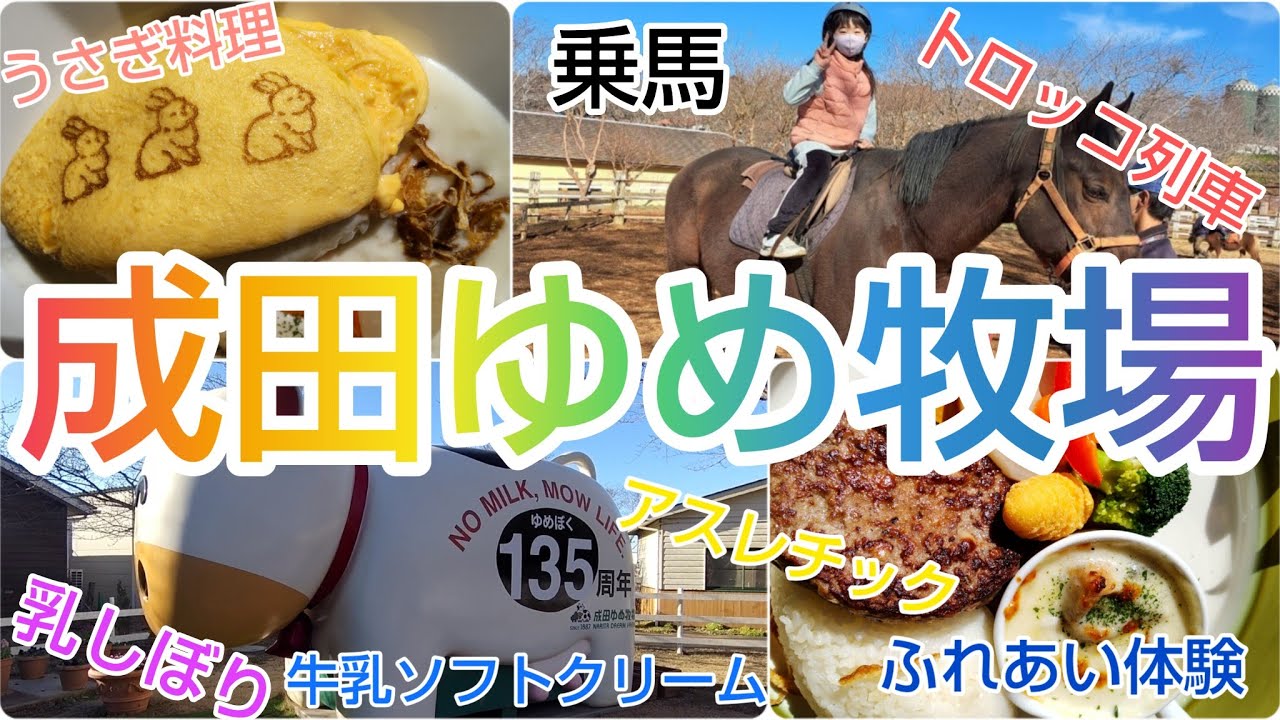 【成田ゆめ牧場】全部体験してみた！(乳しぼり/動物ふれあい/アスレチック/乗馬/トロッコ列車/自転車ゴーカート/うさぎ料理/ソフトクリーム)
