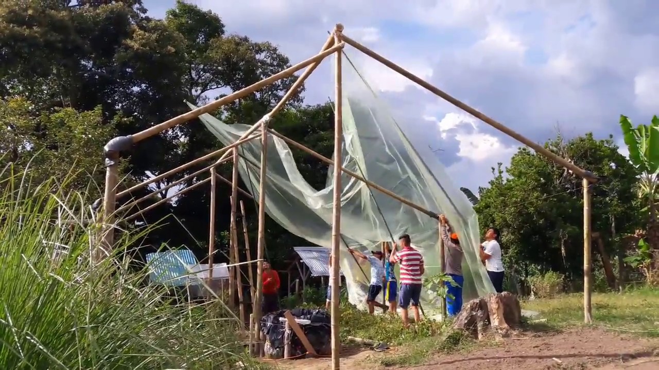 Agromatic Construccion Invernadero Tipo Capilla  2018