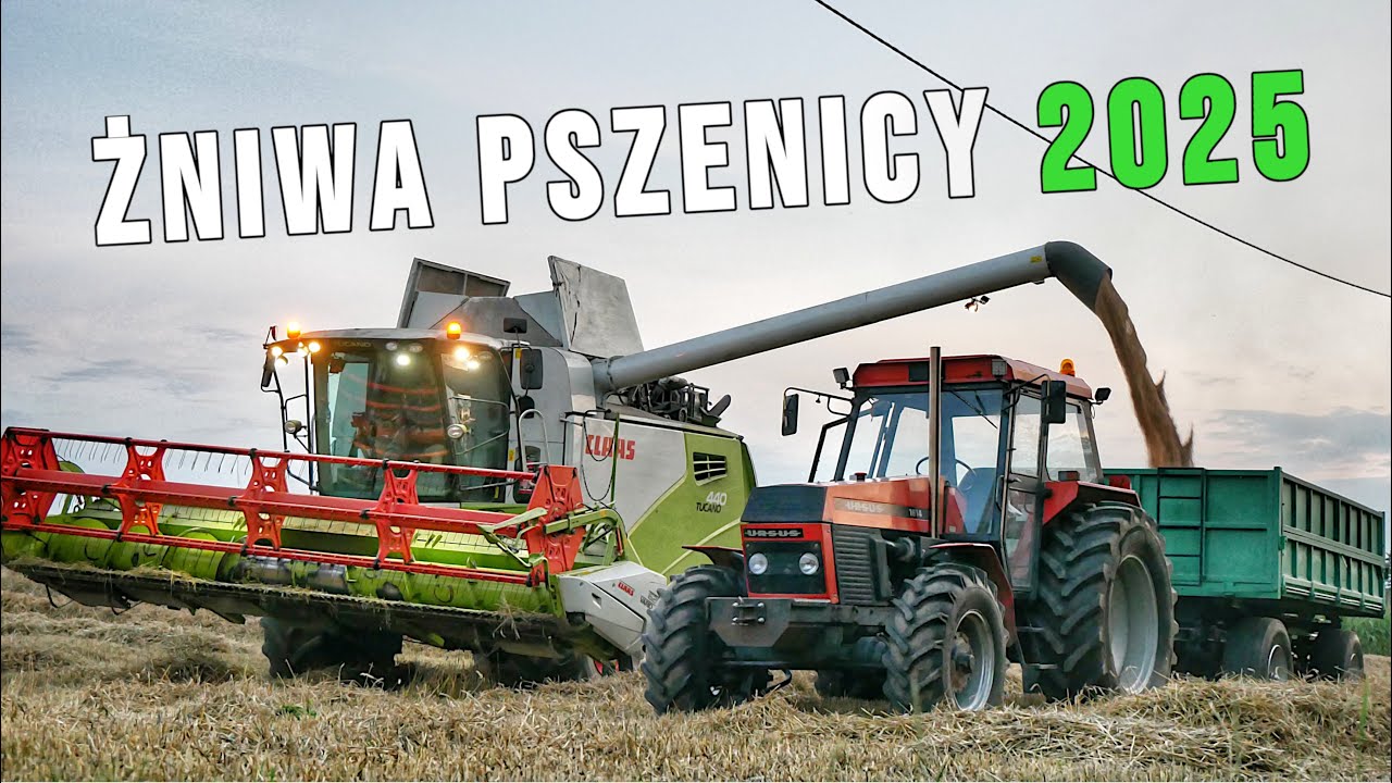 🇵🇱 ŻNIWA PSZENICY 2025 ㋡ URSUS 1614 NA PRZELOCIE ☆ ZETOR 7211 ☆ C.H.U GRUDNY ☆ CLAAS TUCANO 440