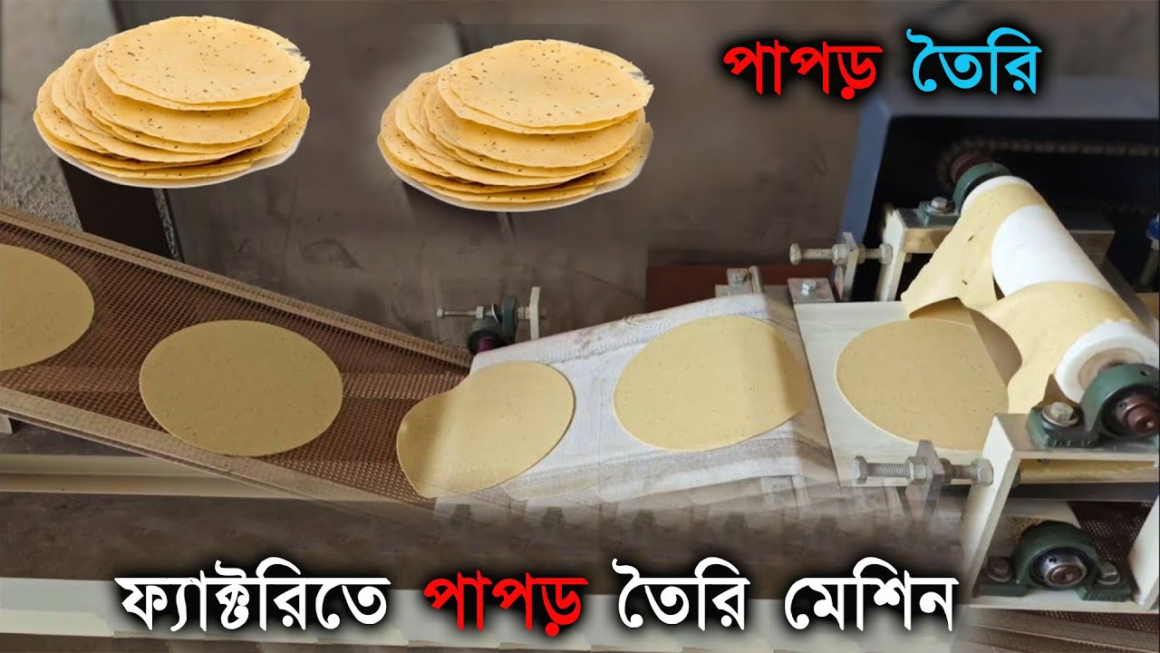 ফ্যাক্টরিতে কিভাবে তৈরি হয় পাপড় | পাপড় তৈরি মেশিন Making machine