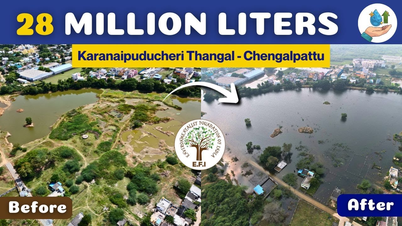 Karanaipuducheri Thangal Restoration Story | E.F.I's Lake Night Show  #BlueGreenChengalpattu @EFI