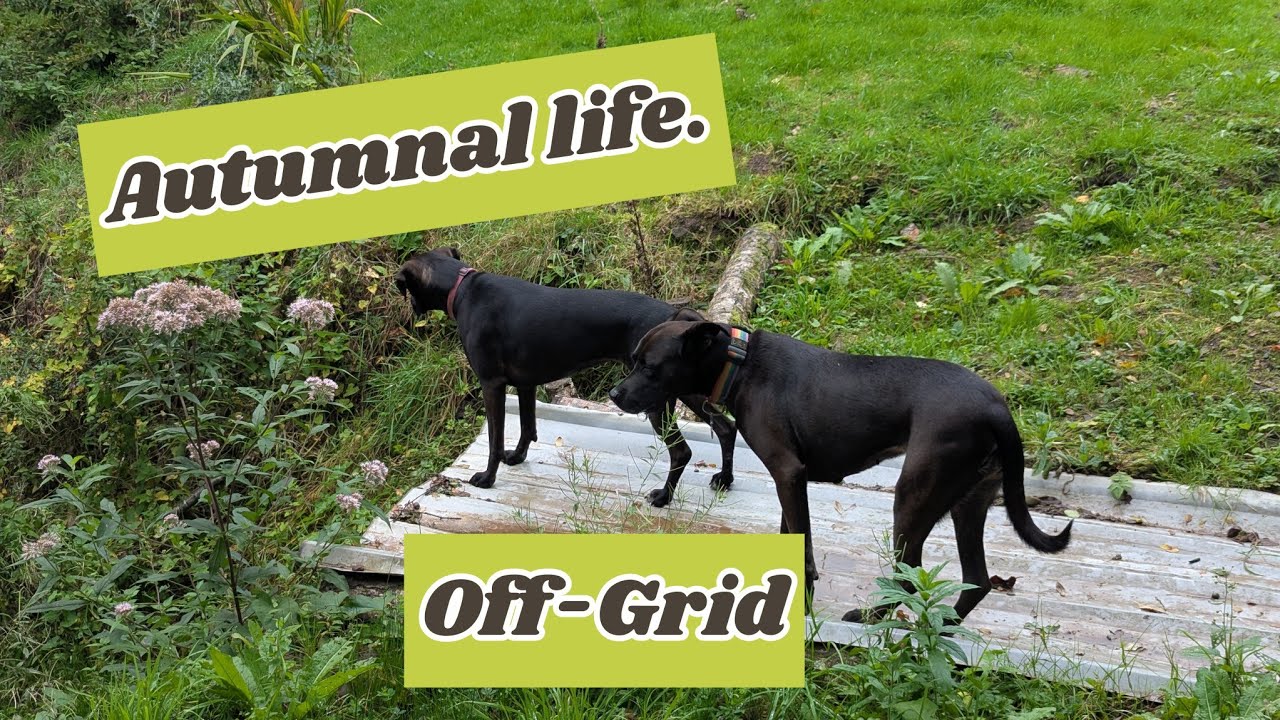 Почему мне подходит Off-Grid!