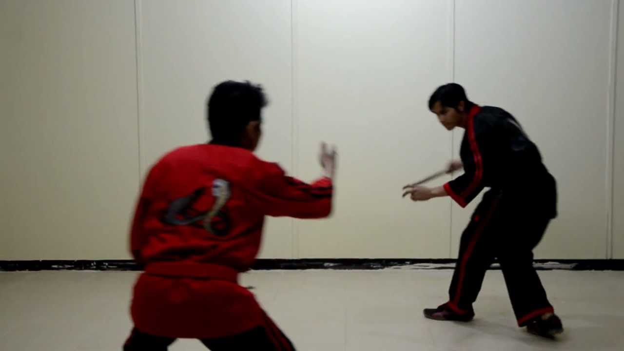 Mongoose-Cobra Knight Stick Defense
