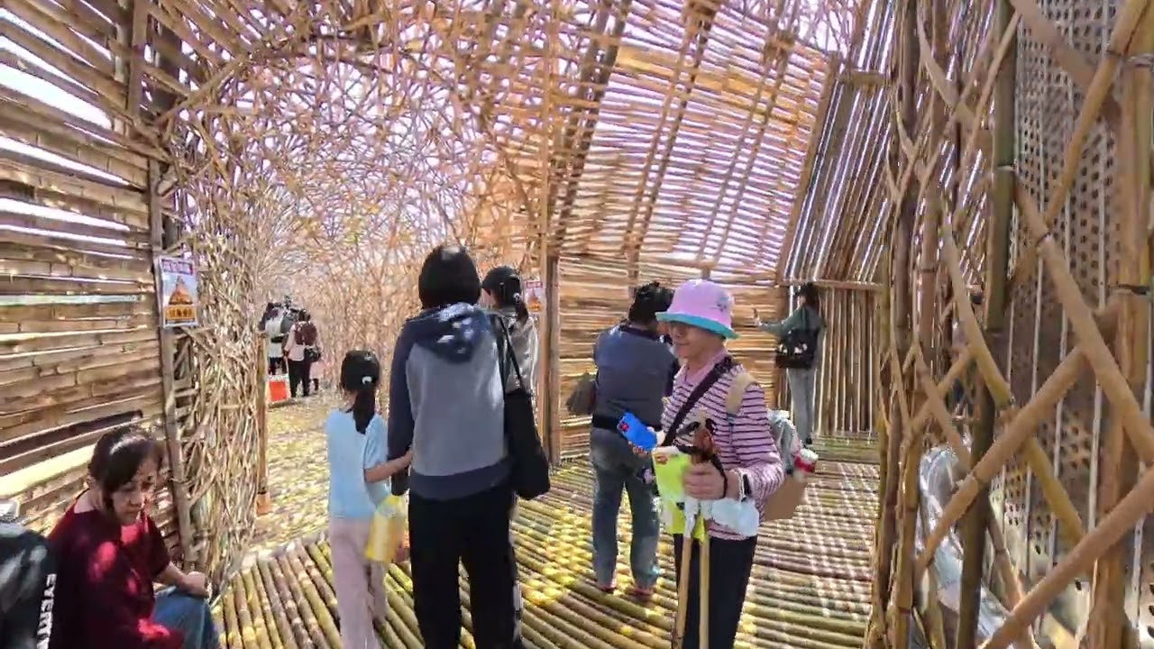 20260314台灣燈會在嘉義