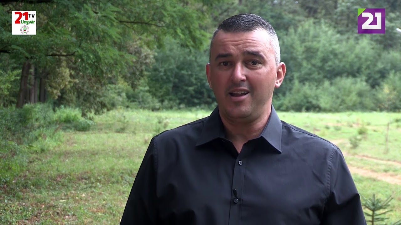 TV21 UNGVÁR - VERSEK KÉT PERCBEN. VÁCI MIHÁLY: VÉGÜL