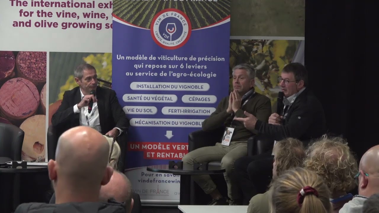 Bilan des leviers de la rentabilité : importance de la maîtrise des charges en V.I.E