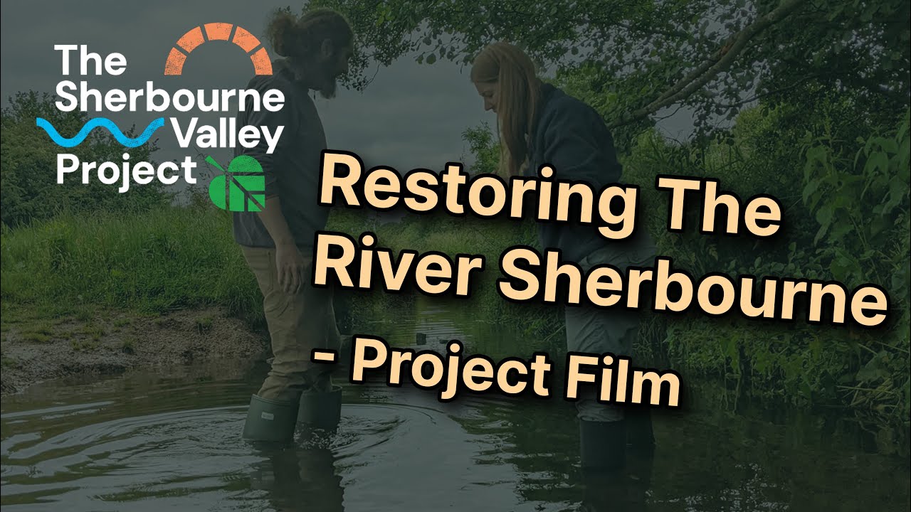 Restoring The River Sherbourne - The Sherbourne Valley Project