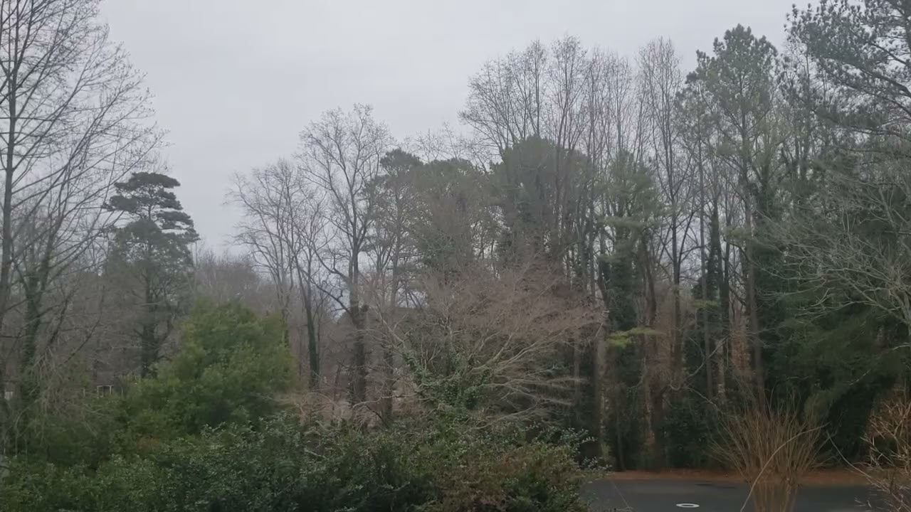 Jan 24. Calm before the storm. Cloudy morn. Birds chirp. Chilly. 