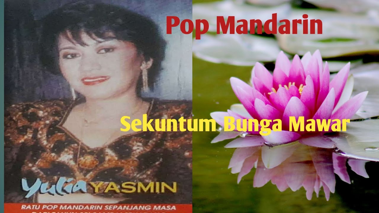 Sekuntum Bunga Mawar - Yulia Yasmin