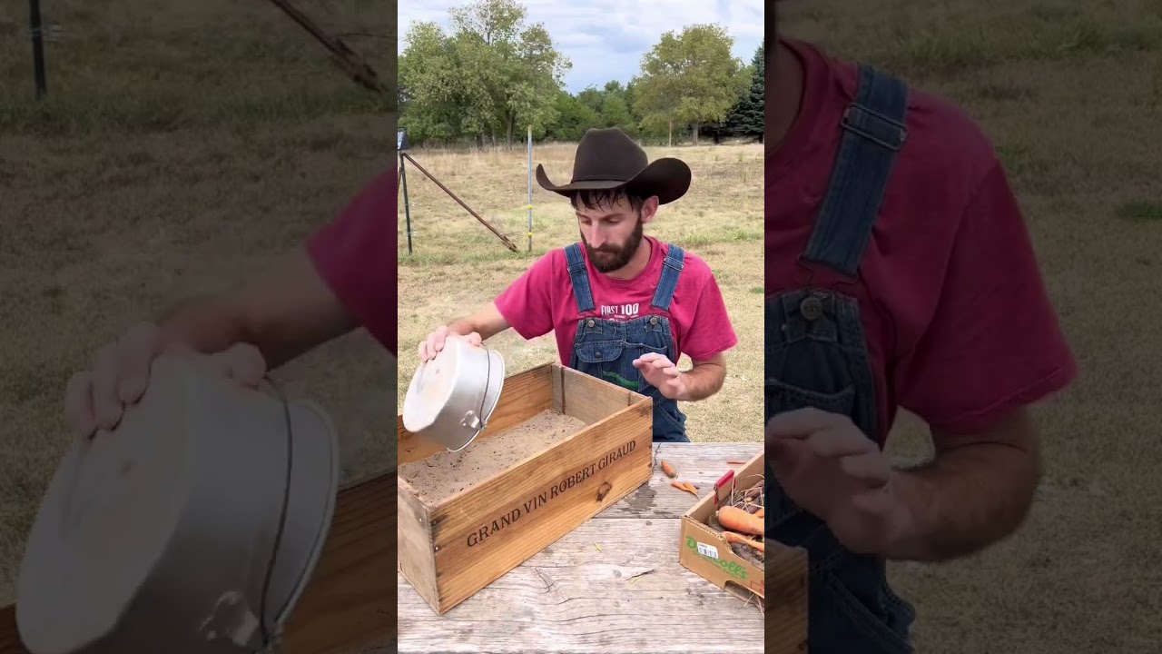 A better way to store veggies!