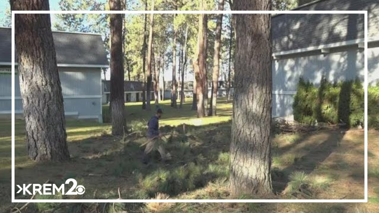 Focus turns to cleanup following historic windstorm
