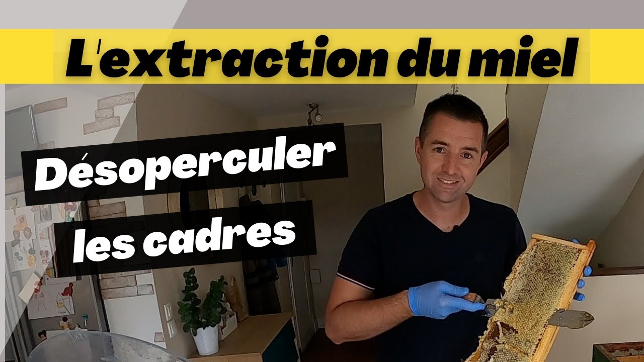 Comment désoperculer les cadres d'une ruche ?