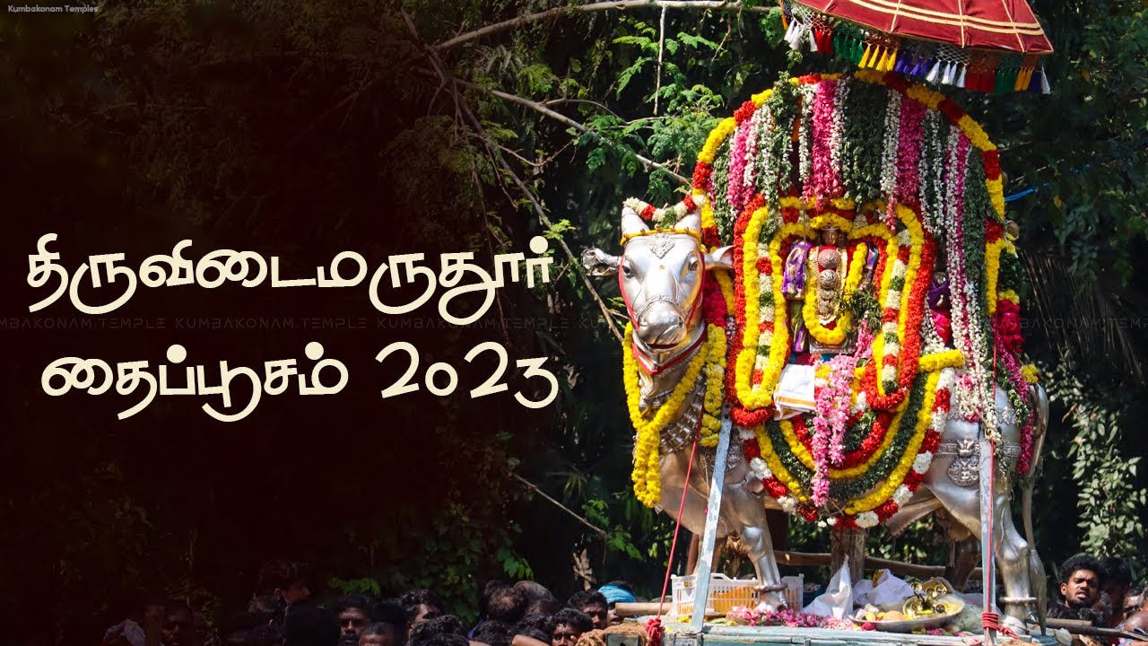 மகாலிங்கசுவாமி தைப்பூசம் 2023 | Mahalingaswamy Thiruvudaimaruthur | Kumbakonam Temples