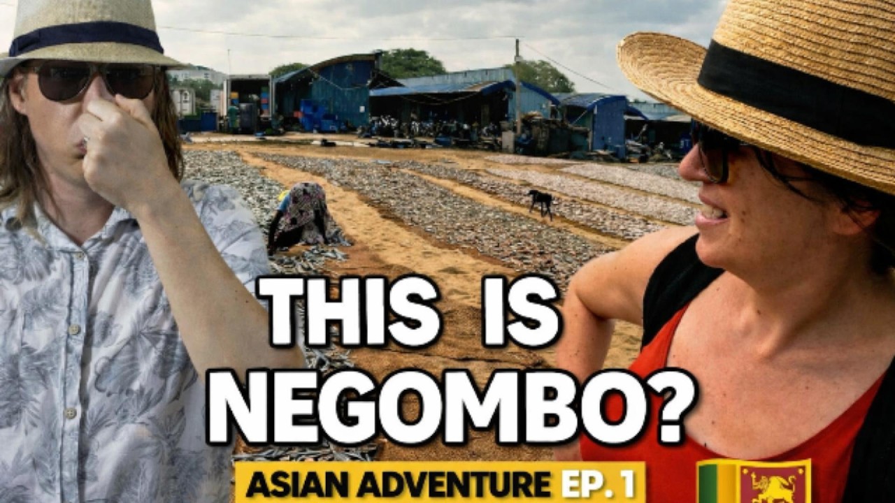 Negombo, we didn't expect this!
