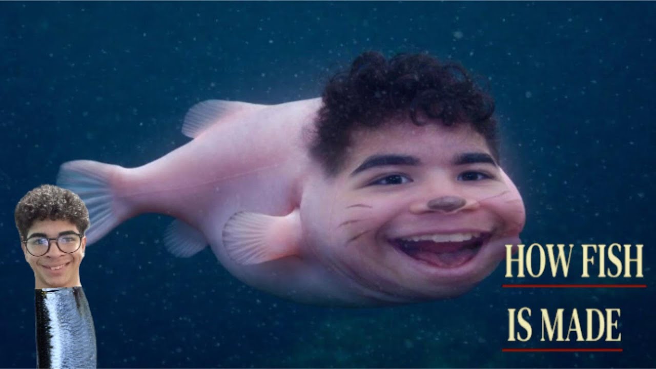 EU VIREI UM PEIXE-(HOW FISH IS MADE)