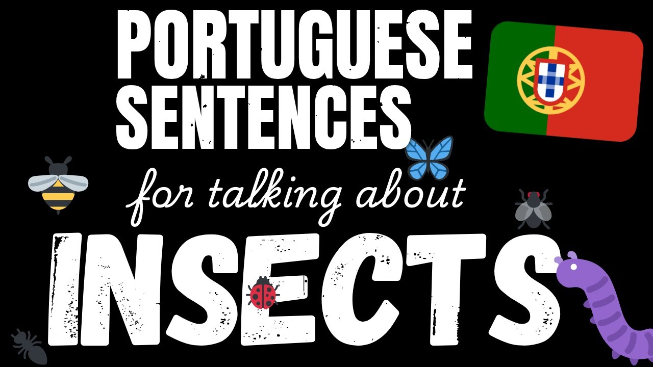 100 Easy Portuguese sentences - Insects | Learn A1 Portuguese vocabulary