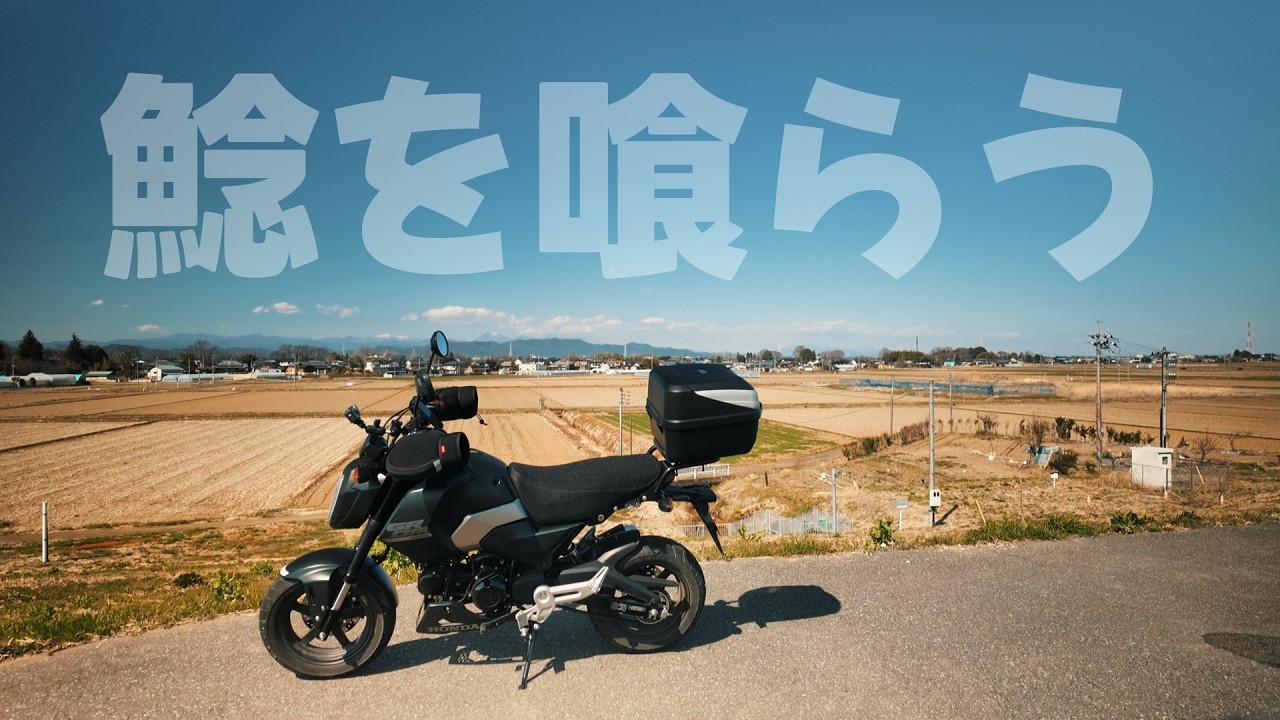 【モトブログ】鯰を喰らう