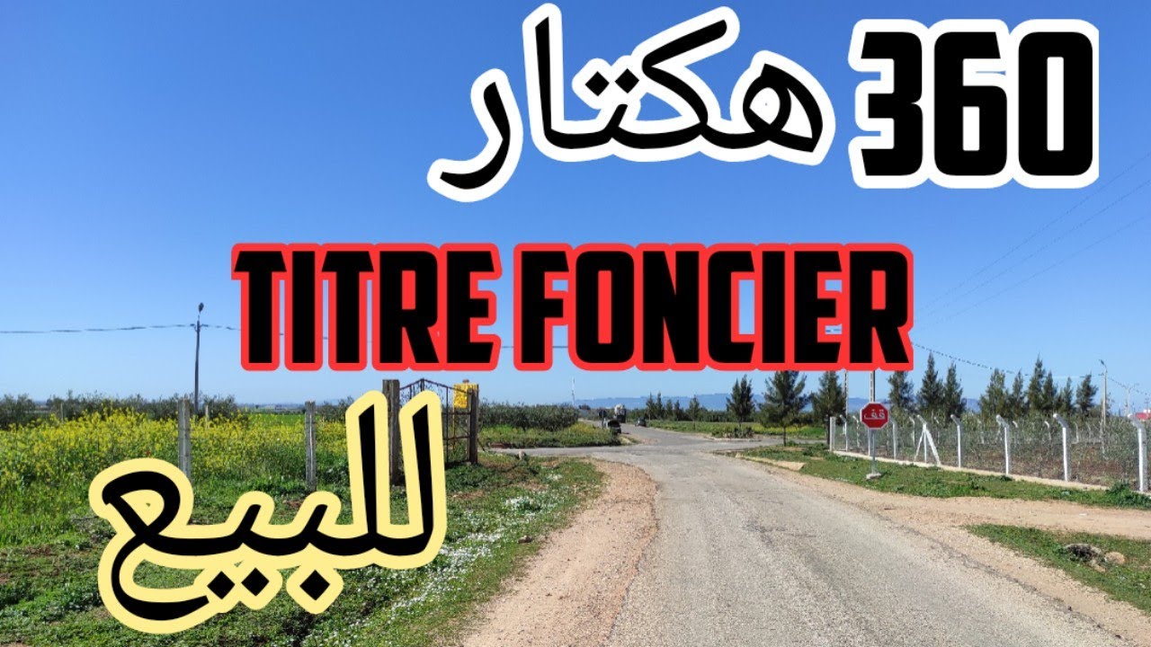 ✨مشروع استثماري✨ أرض فلاحية 360 هكتار🇲🇦 نواحي مكناس للبيع 🏞️