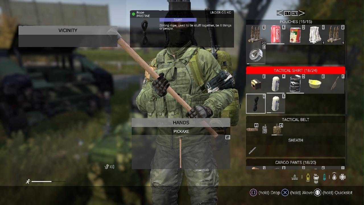 DayZ_20260124190321