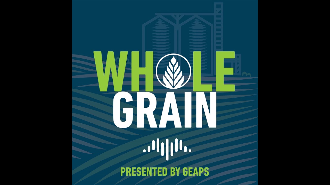 What Does a Test Tell You? How Sampling and Testing Protect Grain Safety and Quality