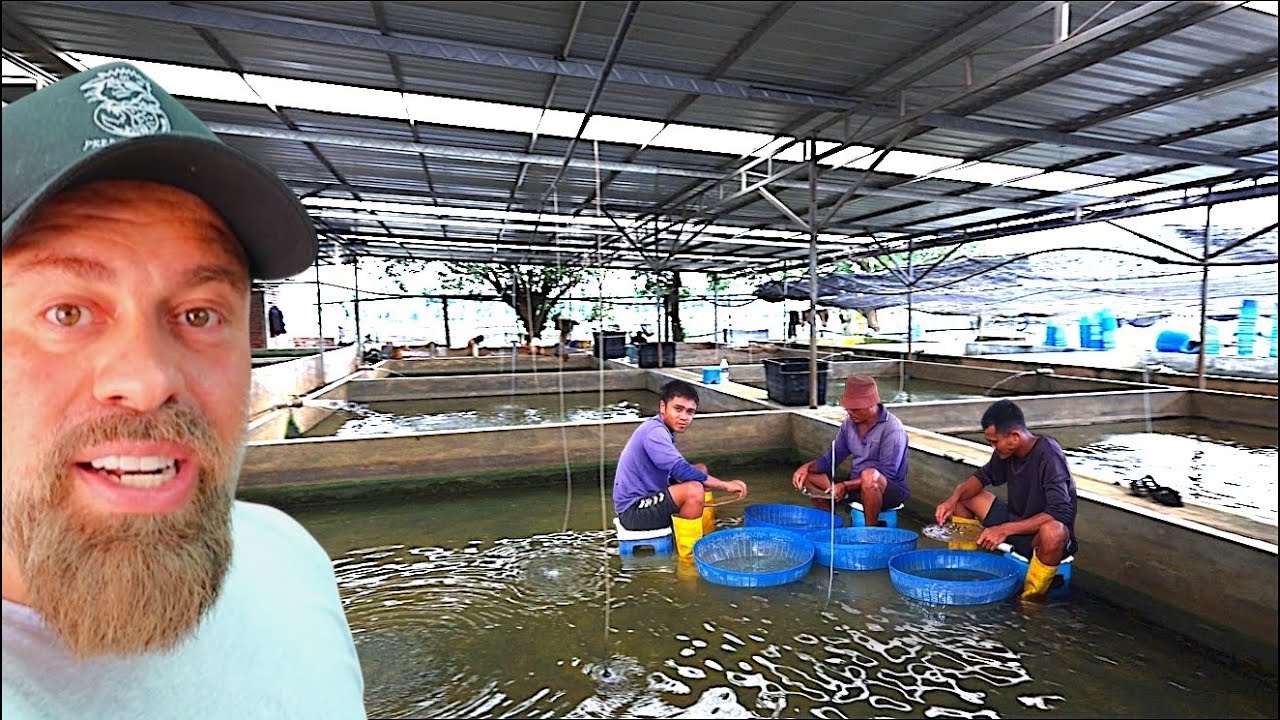&ldquo;Inside Malaysia&rsquo;s LARGEST Fish Farm (Full Behind-the-Scenes Tour!)&rdquo;