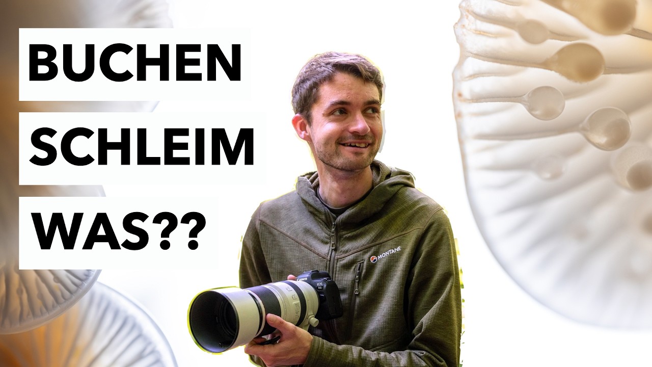 PILZE mal anders fotografieren | So entstehen meine Fotos