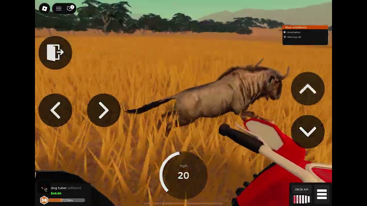 Hunting