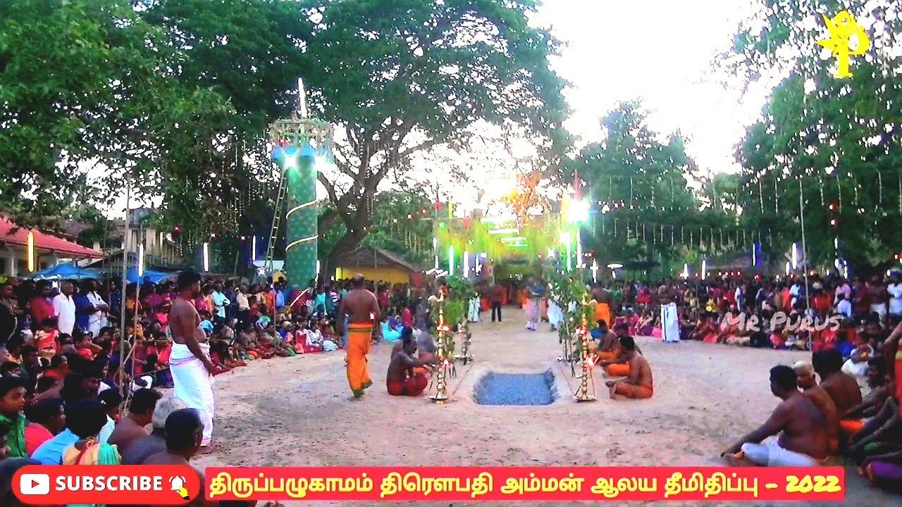 Thiruppalugamam Thirowpathi Amaan Temple Fire Walking | திருப்பழுகாமம் திரௌபதி அம்மன் ஆலய தீமிதிப்பு