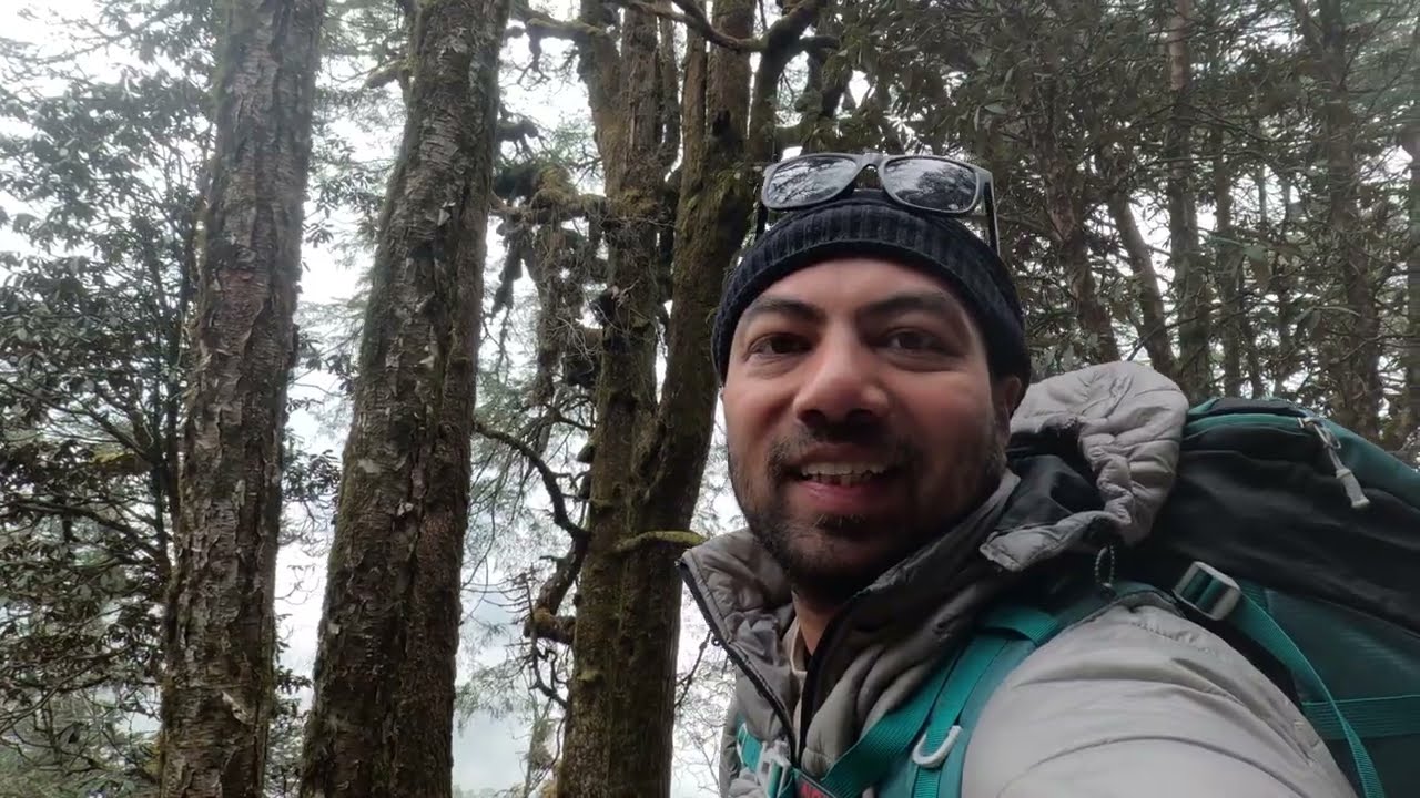 Inside the Bamboo Forest| Phalut to Gorkhey  | Sandakphu Phalut Trek| Singalila National Park|