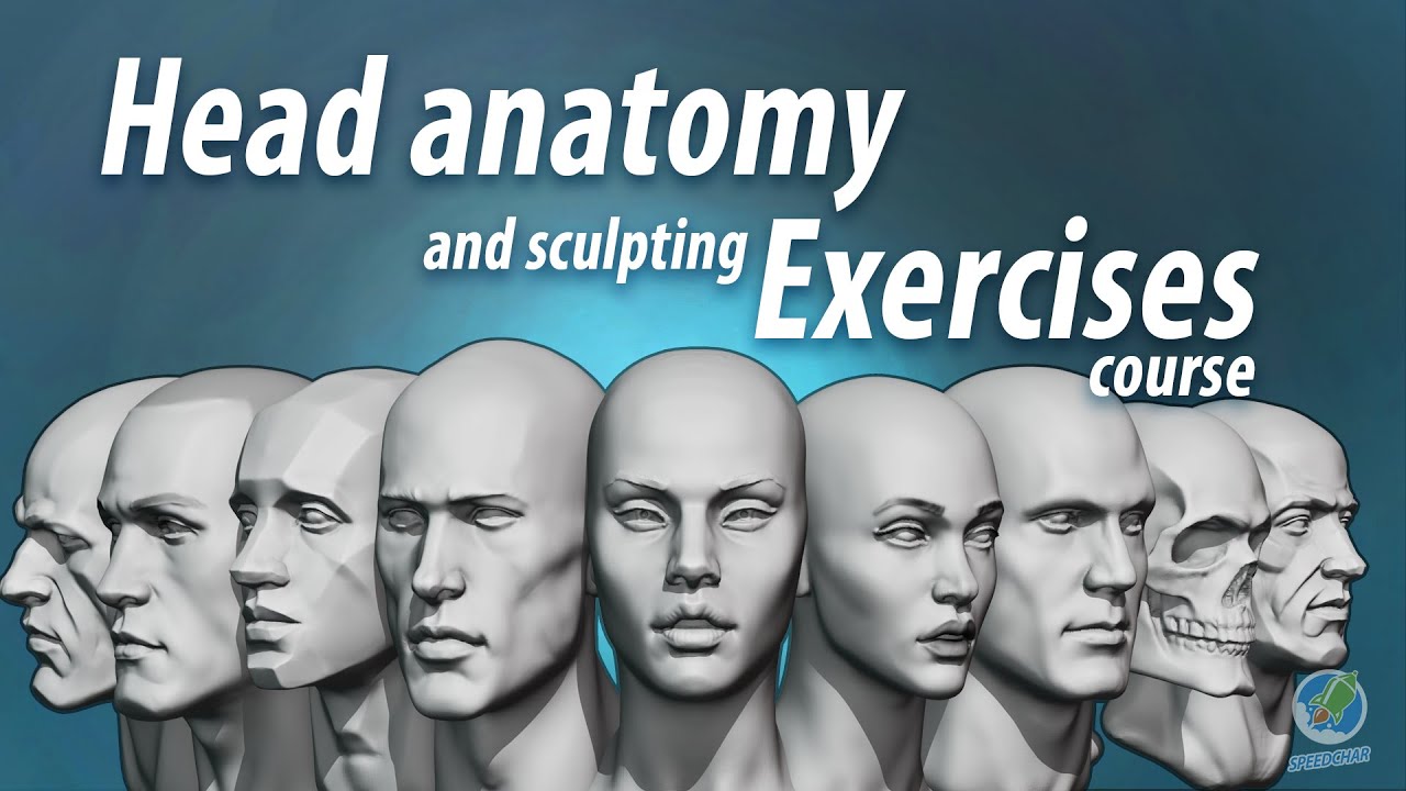 Head anatomy and sculpting exercises course promo