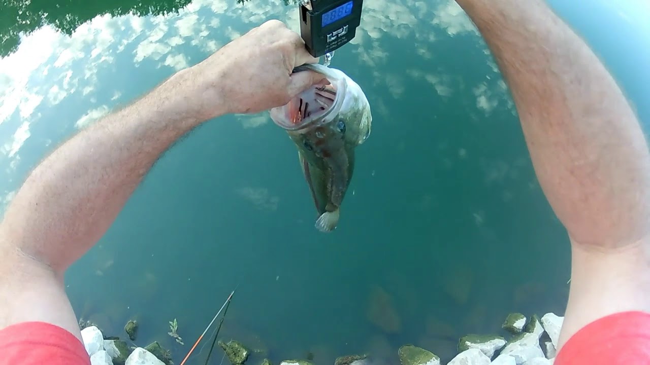 Jackin Da Bass