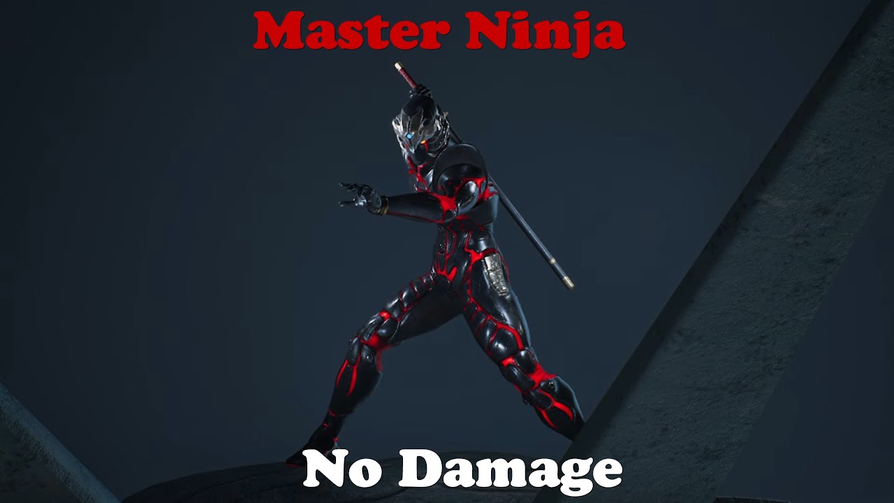 NINJA GAIDEN 2 Black All Bosses No Damage Chapter Challenge (Master Ninja)