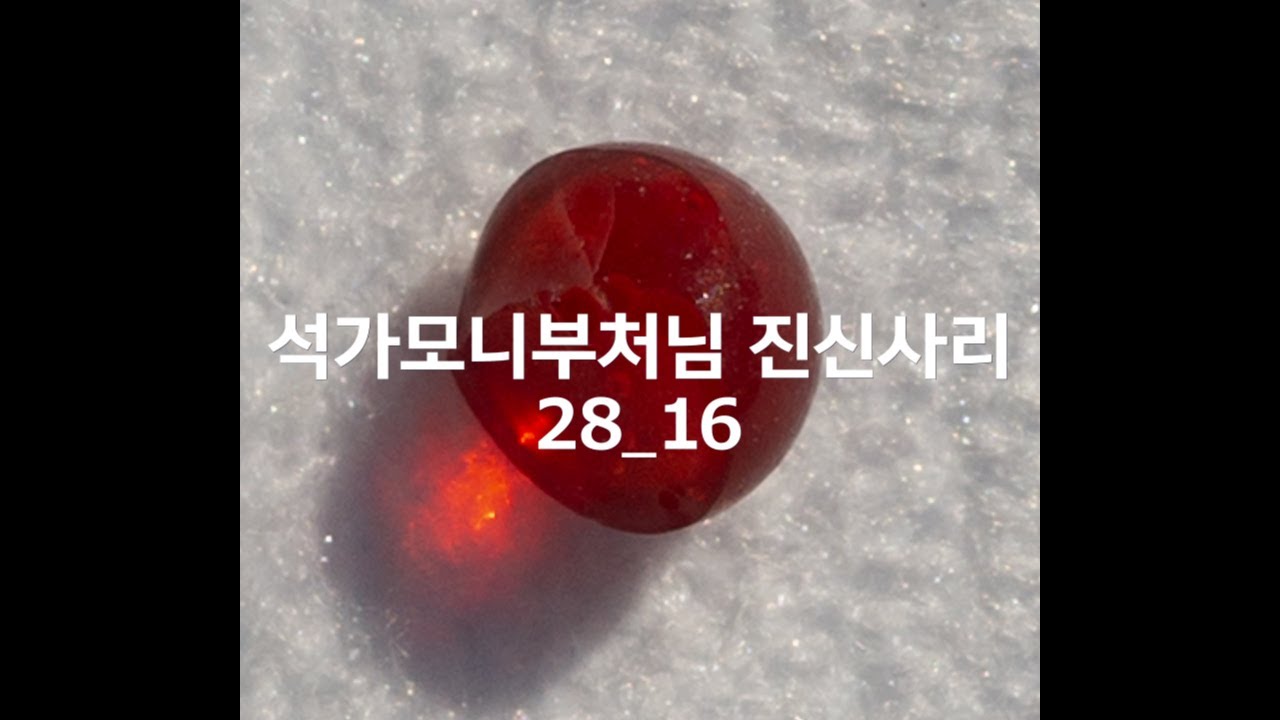 Buddha's Bequest_28_16