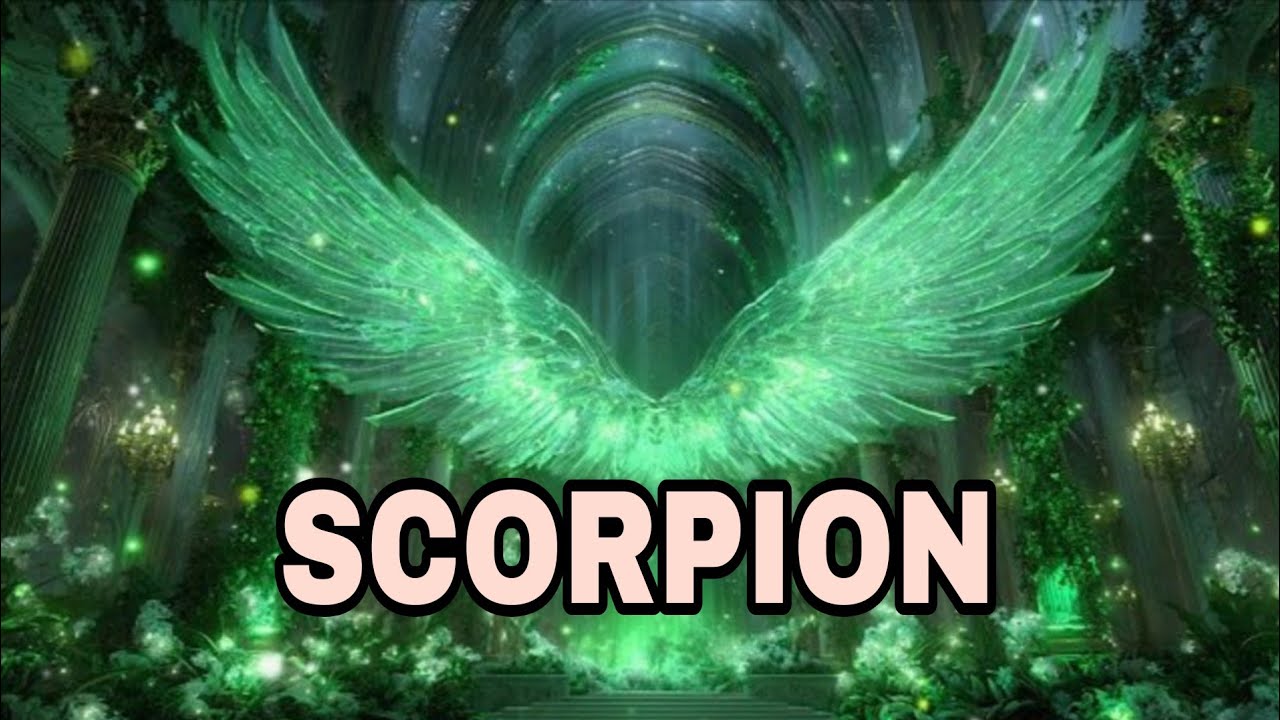 SCORPION 🚨UNE ÉNORME BOMBE EXPLOSE !!! QUELQU'UN RÉVÈLE SES VRAIES INTENTIONS