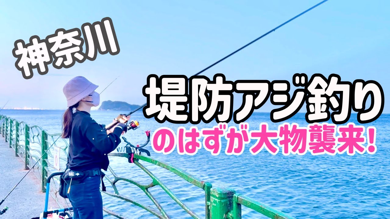 堤防でサビキに喰いついた50cm超えの魚の正体は!?鳴り響くドラグに緊張が走る‥【神奈川釣り】【2025.4】