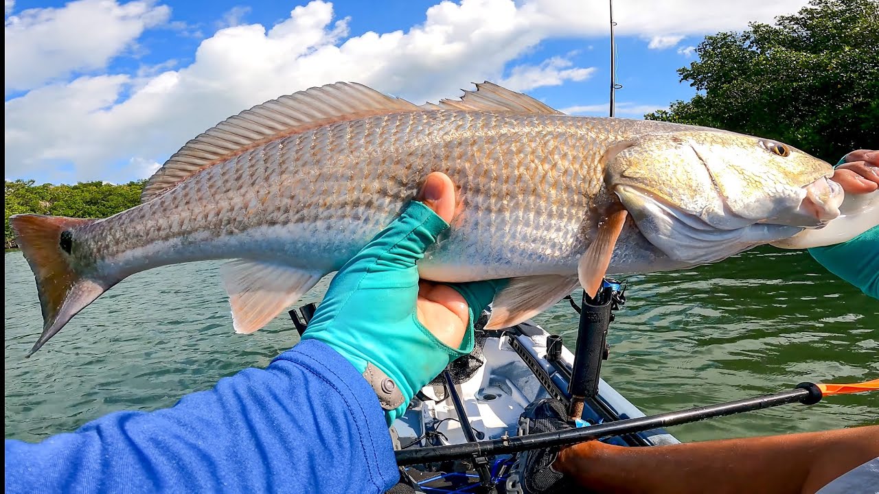 FUN Day of Fishing at Fort Desoto.