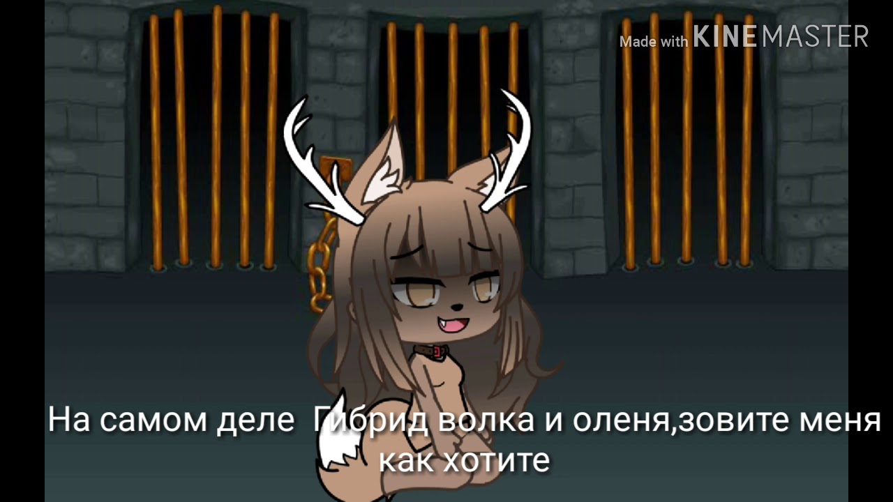 +Какого жить животным+_=Gacha life=/Мини-фильм/|Читать описание|