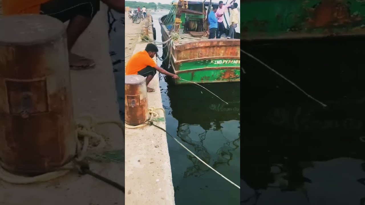 #shorts #fishing | traditional handline fishing | pondicherry fishing harbour |