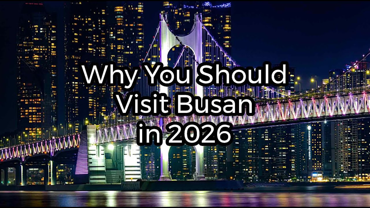 Why You Should Visit Busan in 2026
